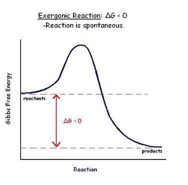 delta g for spontaneous reaction|delta g is equal to.